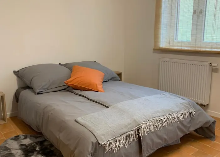 Lulu Apartamento Bingen am Rhein